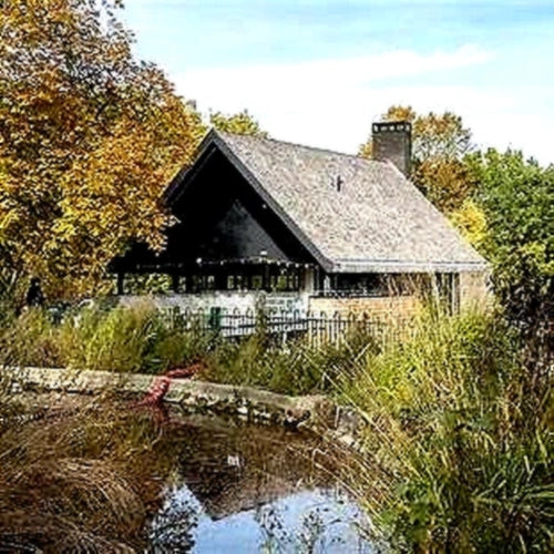 Square view of Brown & Green Life Café exterior in Crystal Palace, framed by autumn trees and a pond